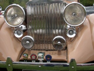 P1010030_sized