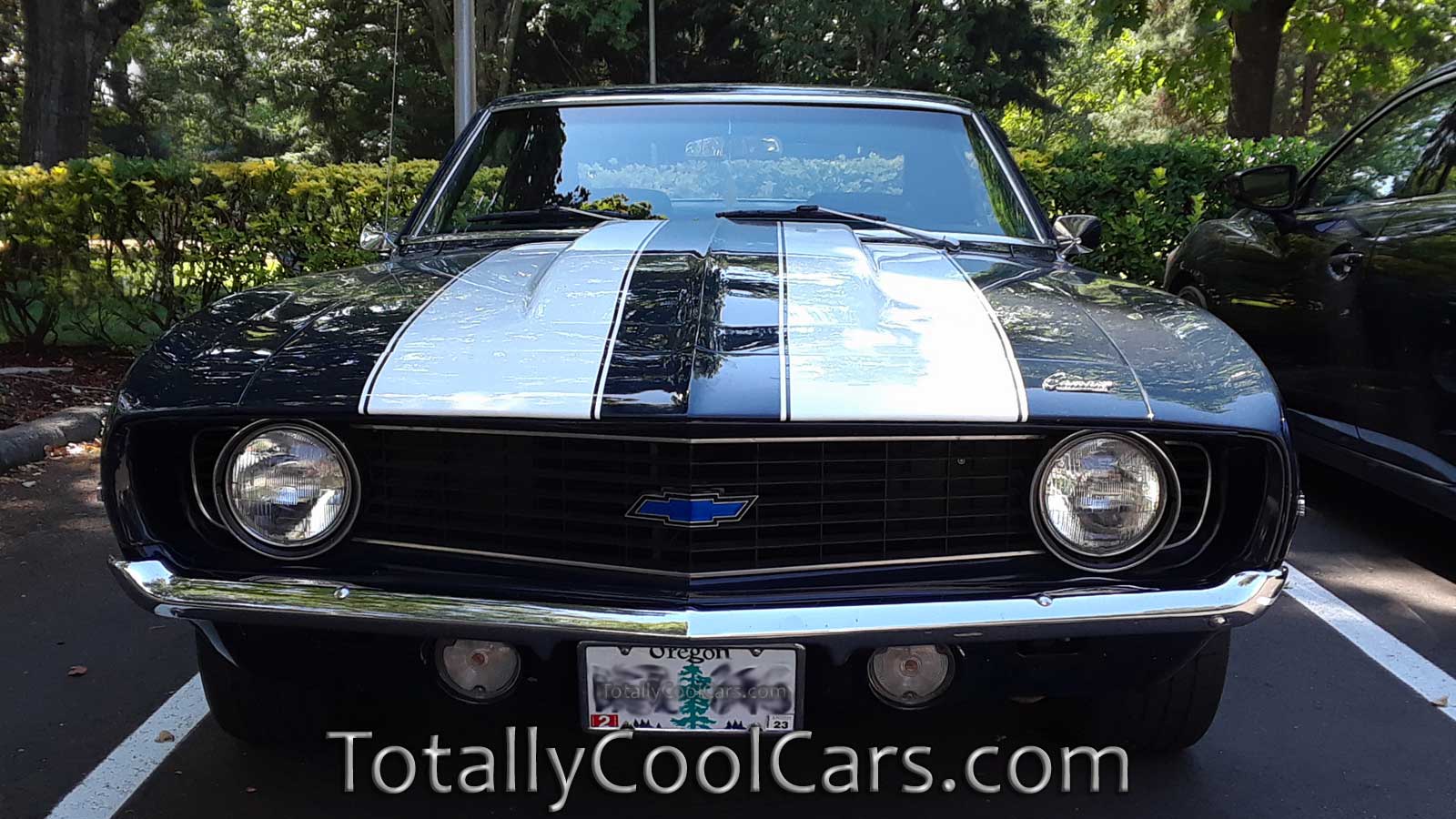 camero_122036