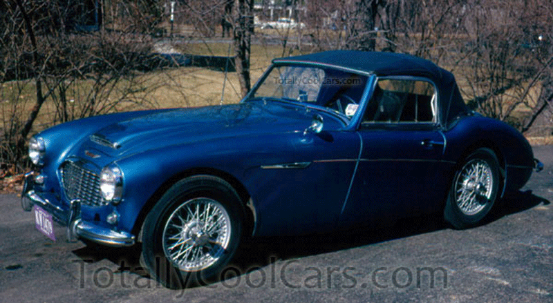 austin-healy-2